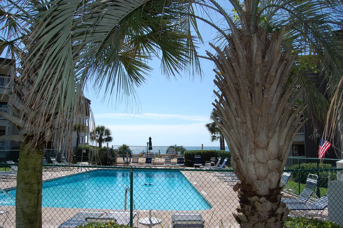 A sparkling outdoor swimming pool bordered by palm trees, with lounge chairs arranged for sunbathing, and a beautiful ocean view in the background. The tranquil atmosphere invites guests to enjoy swimming, relaxing, or socializing poolside under the sun.