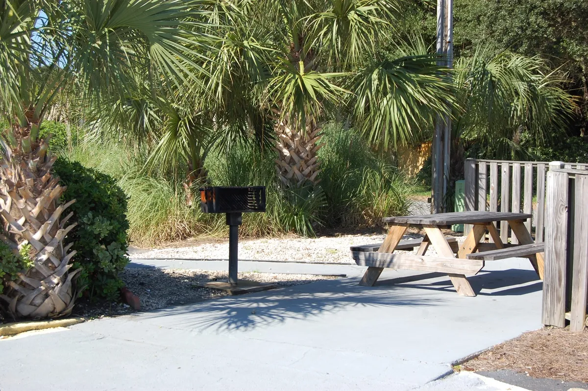 A casual picnic area with a table and grill shaded by palm trees. It evokes scenes of group barbecues, shared meals, and outdoor socializing—perfect for enjoying onsite perks beyond the pool.